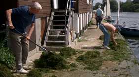 weedclearing282x157.jpg