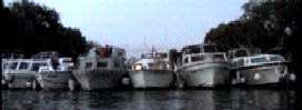 Moored boats